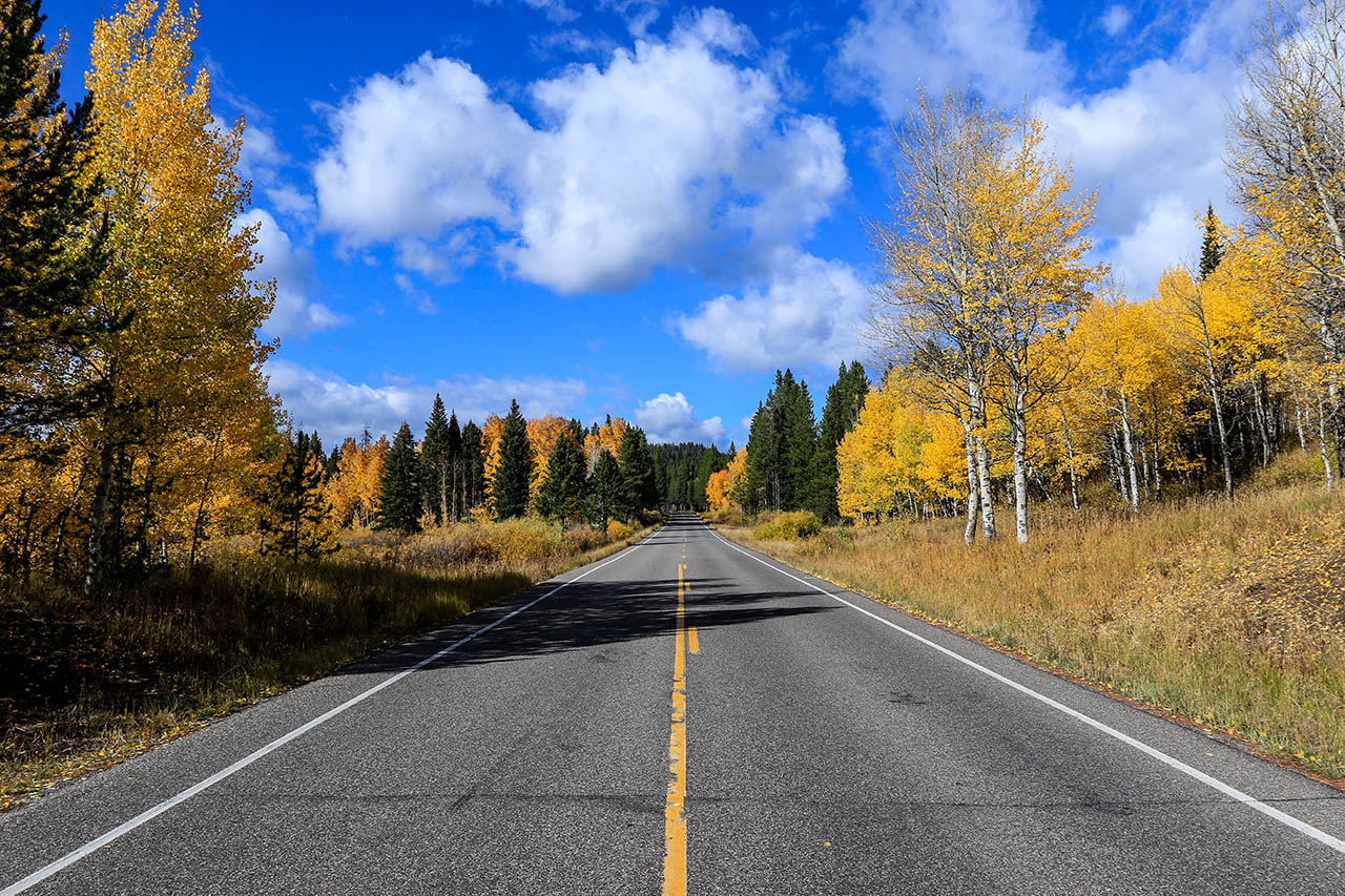 Fall is a beautiful time to camp in Cody WY at Buffalo Bluff RV Park